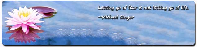 st louis missouri counseling